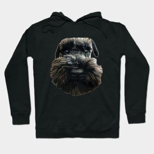 Schnauzer Cute Dog with Beard Hoodie